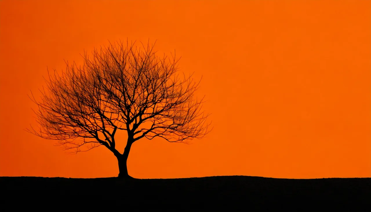 Minimalistisches Design: Die Kunst des Weniger